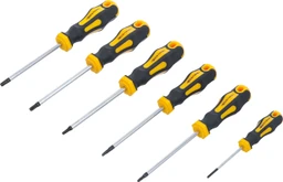 Set skrutkovačov torx, T10-T30 6ks